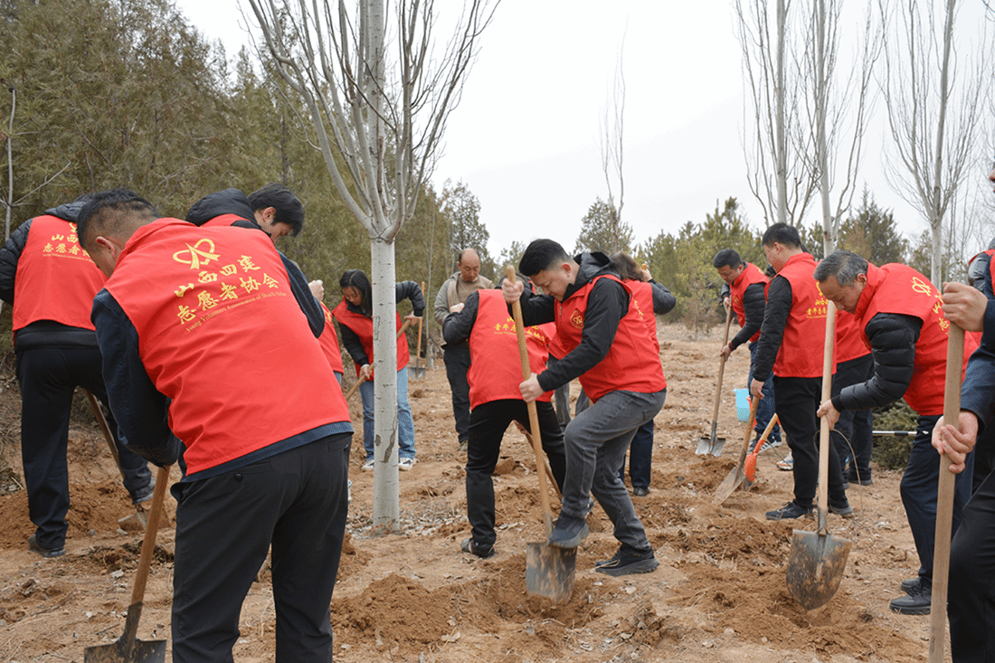 山西建投四建集團(tuán)開(kāi)展植樹(shù)節(jié)主題活動(dòng)